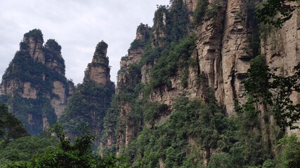 Fototapeta premium The sandstone pillars. Mountains in the national park Wulingyuan. Zhangjiajie. UNESCO World Heritage Site. China. Asia