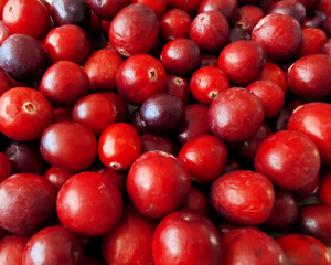 Fresh raw red cranberries - background