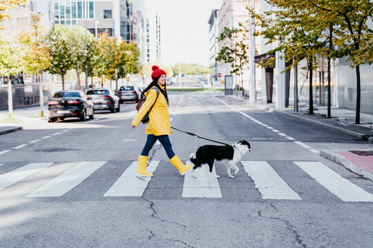 Woman walking with dog on pedestrian crossing during sunny day