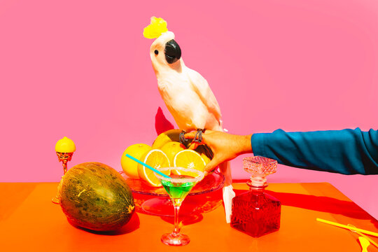 Man taking fruit while parrot sitting on his hand against pink background