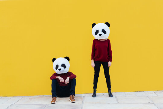 Male and female friends in panda mask against yellow wall