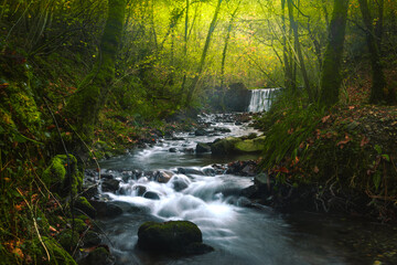 River through the forest at the Aiako Harriak Natural Park; Basque Country.