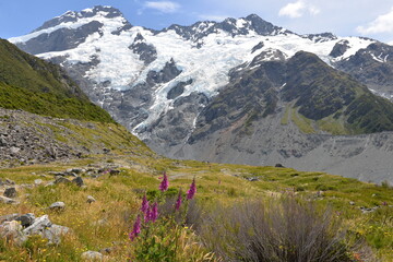 Fototapeta premium View from Kea Point in Mt. Cook National Park