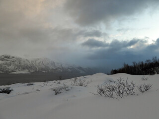 Landschaft im Winter, Kvaloya, Norwegen