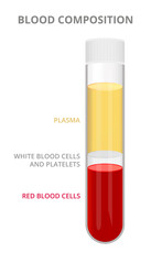 Blood composition, the composition of blood, blood components. Plasma, white blood cells, and platelets, red blood cells. Laboratory glass test tube filled with a blood sample isolated on white.