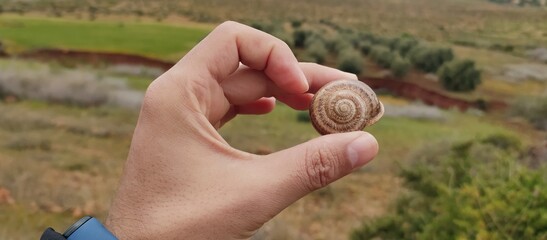snail in hand