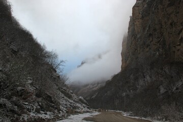 fog in the mountains