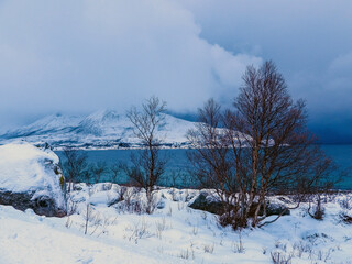 Landschaft im Winter, Kvaloya, Norwegen