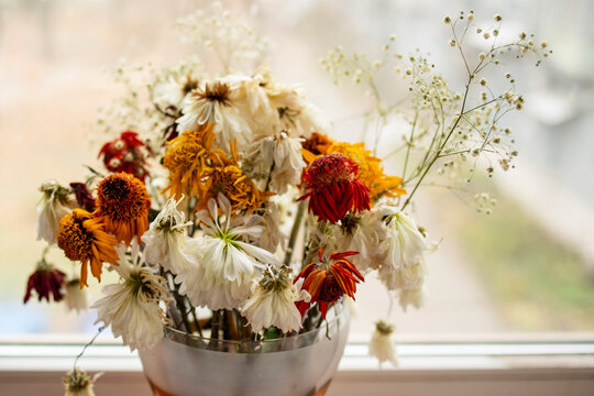 withered flowers in a glass vase. Beautiful flower