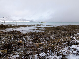 Strand bei Sandneshamn, Kvaloya, Norwegen