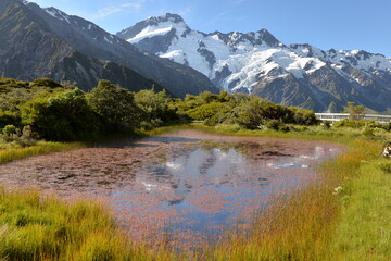 Fototapeta na wymiar Red Tarns in Mount Cook National Park