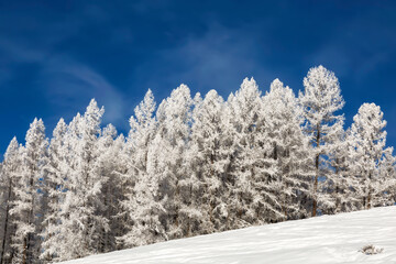 The Altai mountains on a sunny frosty winter day. Altai Republic, Western Siberia, Russia