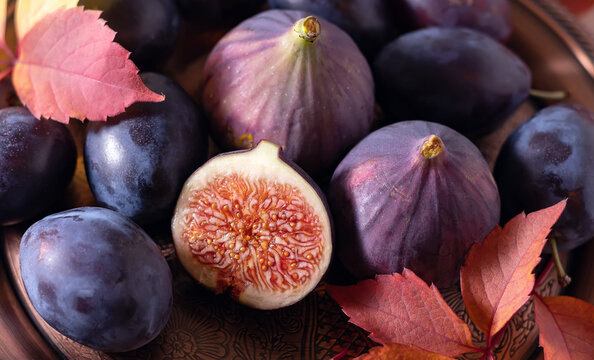 Ripe plums and figs on a platter. Nice photo of food. Banner.