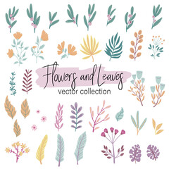 Fototapeta premium Vector Set of different plants isolated on white. Flowers and leaves collection for creating branding projects, logos, handmade craft items, web pages, magazine illustrations, notebook and book covers