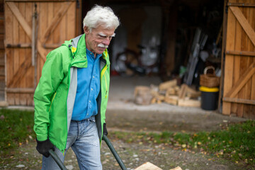 Fototapeta premium Senior man pushing a wheelbarrow full of the heavy pieces of firewood.