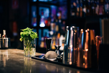 Counter and shelves in modern pub