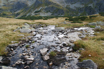 mountain stream in the mountains