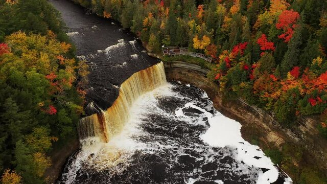 Aerial rising up and panning down over the Tahquamenon Falls waterfall as tourists watch it splash into the river below with cliffs lined with evergreen trees and fall or autumn foliage.