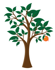 orange tree
