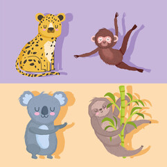 sloth leopard koala and monkey animal safari cartoon