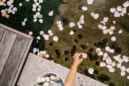 pool with rose petals