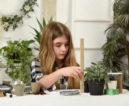 Student at Home Measuring House Plants with Ruler