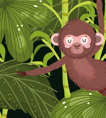 cute monkey hanging jungle leaves animal safari cartoon
