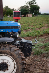 cosecha de papa en campo con tractor y trabajadores golondrinas cordoba argentina