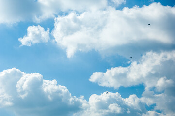 Obraz na płótnie Canvas Group of paratroop parachuting against white clouds