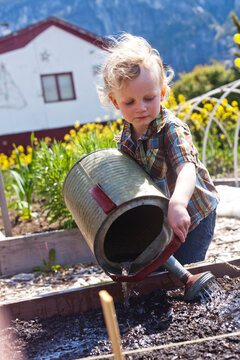Caucasian boy watering plants in garden