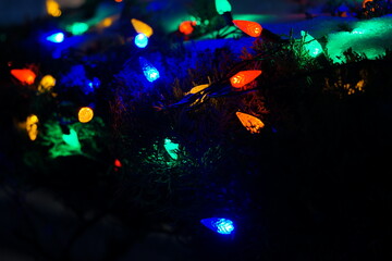 Fototapeta na wymiar colorful christmas lights