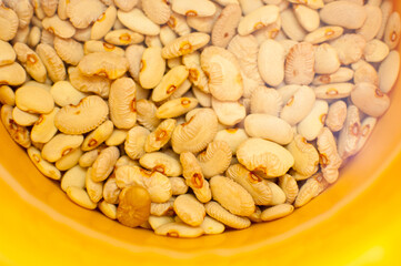 Close up of white beans soaked in water