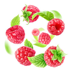 Spiral of flying fresh raspberries and leaves on a white background