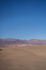 sand dunes in the desert