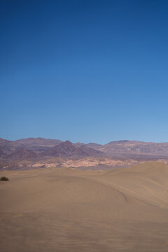 sand dunes in the desert