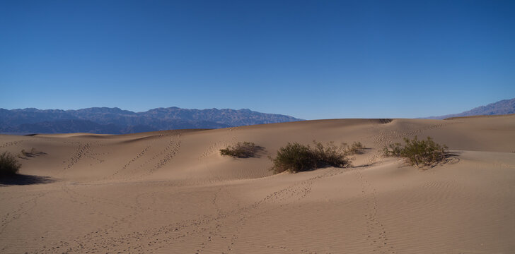 sand dunes in the desert