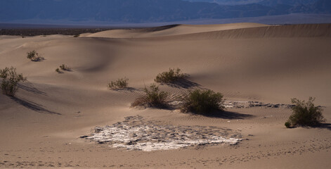 sand dunes in the desert