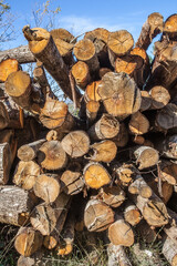 Large pile of sunshined of logs