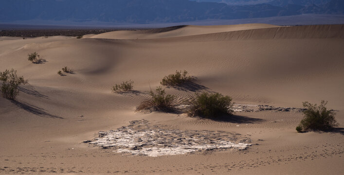 sand dunes in the desert