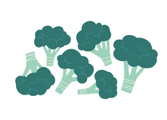 Vector illustration of broccoli. Set of broccoli isolated on white background. Hand-drawn. Illustration of vegetables. Suitable for illustrating healthy eating, recipes, local farm.