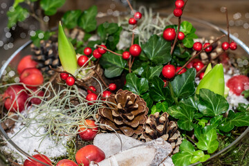 Floral Christmas arrangement with red berries, amaryllis sprouts, decorative apples, pine cones and green ivy. Rustic garden composition for autumn, winter or spring seasons.