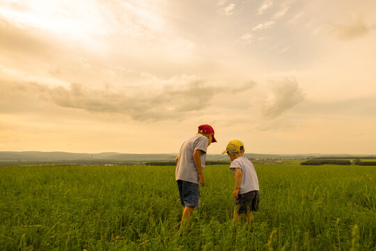 Mari brothers exploring in rural field