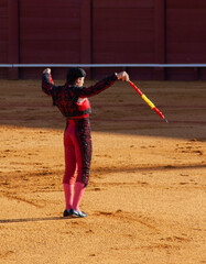 Bullfight in the Plaza de la Maestranza, Seville
