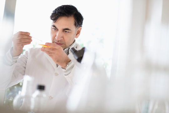 Mixed race scientist working in laboratory