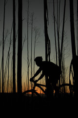 forest, nature, tree, woman, walking, autumn, woods, walk, park, hiking, path, outdoors, people, trees, hike, young, trail, road, summer, green, landscape, fall, wood, bike, person, mtb, mountainbike,