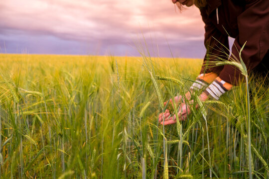 Caucasian woman holding grass in field