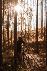 mountain bike
jungle
nature