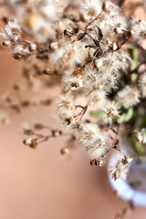 White dried flowers on beige pastel color background. Home decor. Beauty in nature. Selective focus. Vertical image. Space for text.