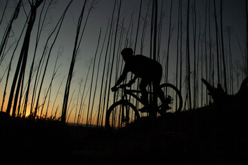 mountain bike
jungle
nature