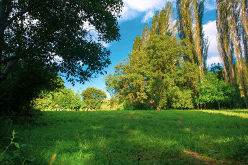 Green fields, trees and blue sky.